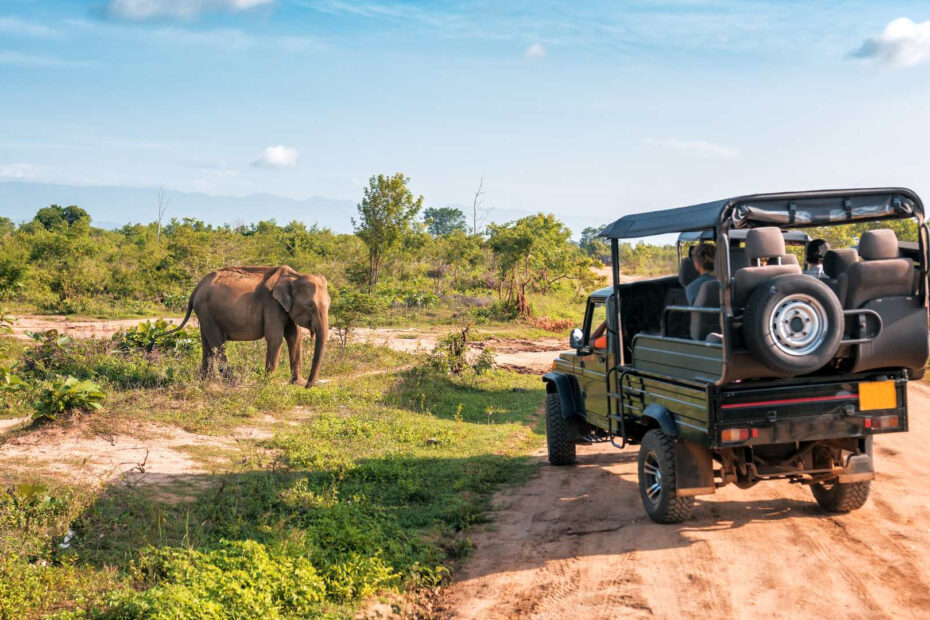 Afrykańska przygoda w wersji premium